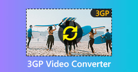 3GP Video Converter