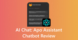 APO Assistant Chatbot Review