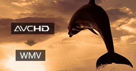 Convert AVCHD to WMV