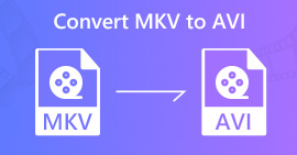 Convert WMV to MP4