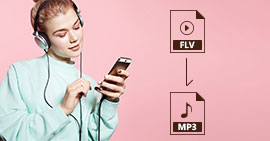 FLV to MP3 Converter