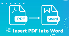 Insert PDF into Word