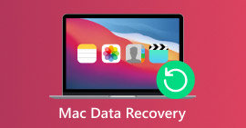 Mac Data Recovery