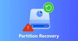 Partition recovery