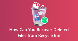 Recover Deleted Files from Recycle Bin Windows