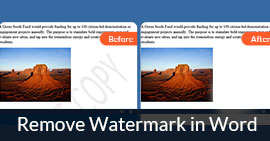 Remove Watermark in Word