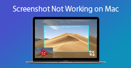 Fix Screenshot on Mac not Working