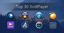 Play Xvid Files